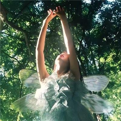 莱奥诺拉的告别